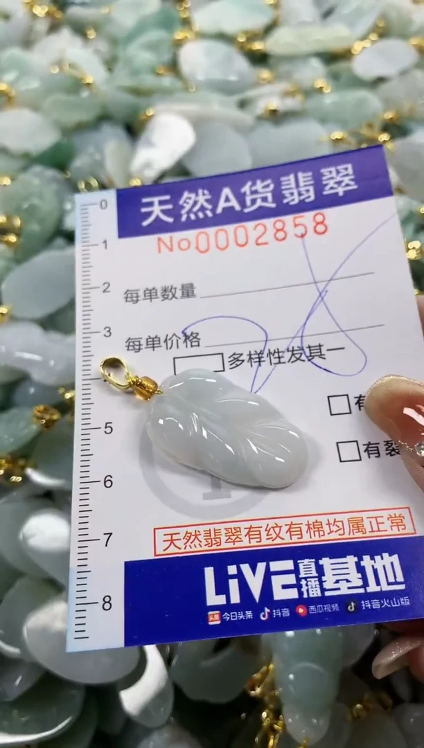 颈饰未镶嵌翡翠天然A货翡翠