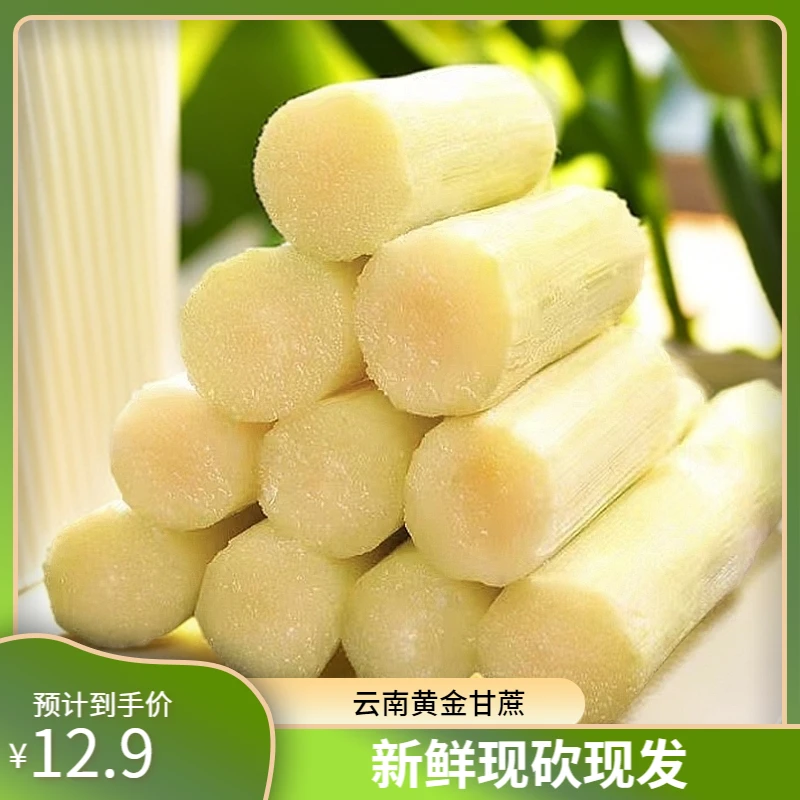 A+云南黄金甘蔗精选中段新鲜现砍现发9斤净重