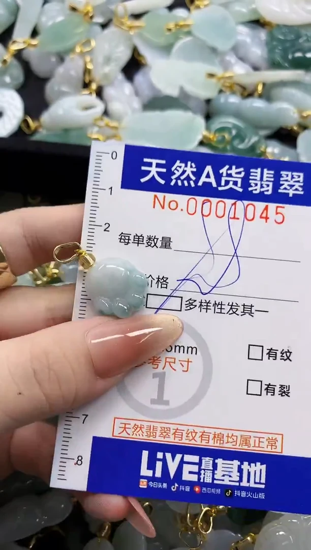 颈饰未镶嵌翡翠天然A货翡翠