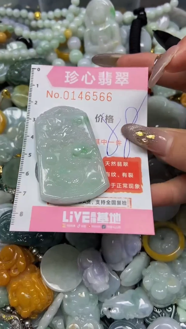 【闪购商品】翡翠颈饰未镶嵌闪购0146566