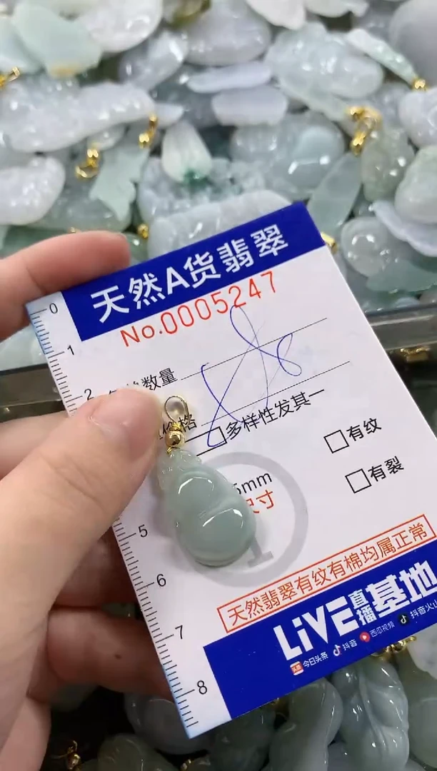 颈饰未镶嵌翡翠天然A货翡翠