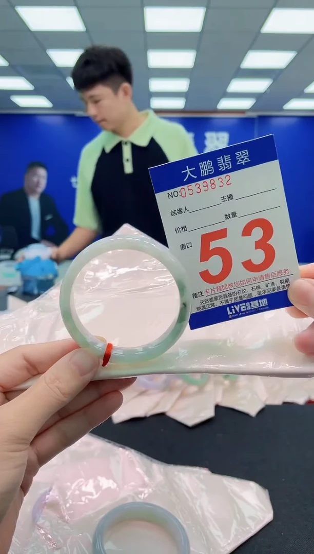 未镶嵌手镯翡翠AAAAAAAAA
