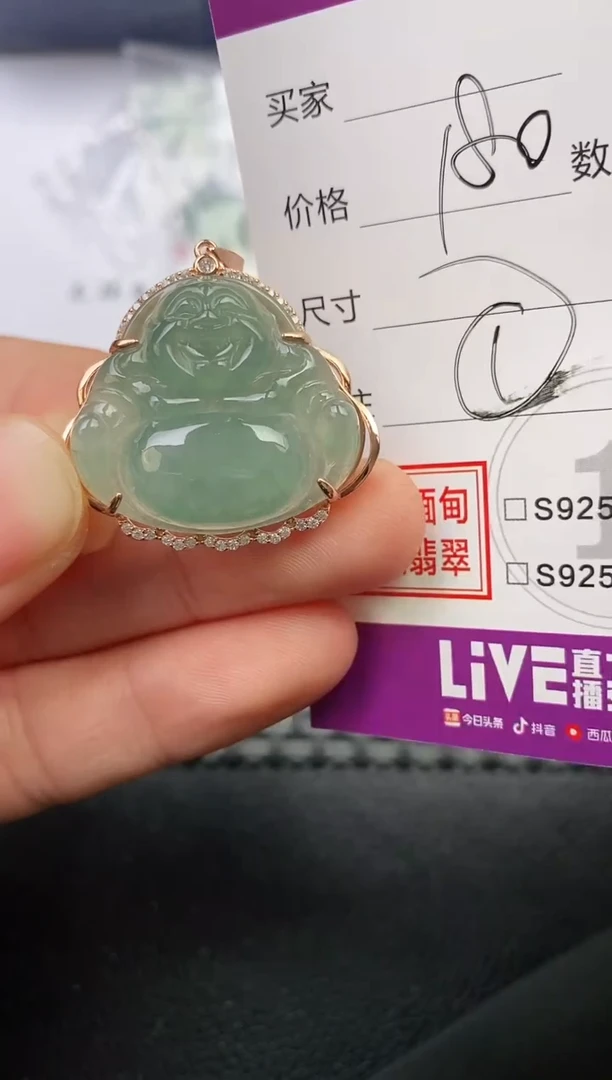 颈饰银S925镶嵌翡翠飞*挂件