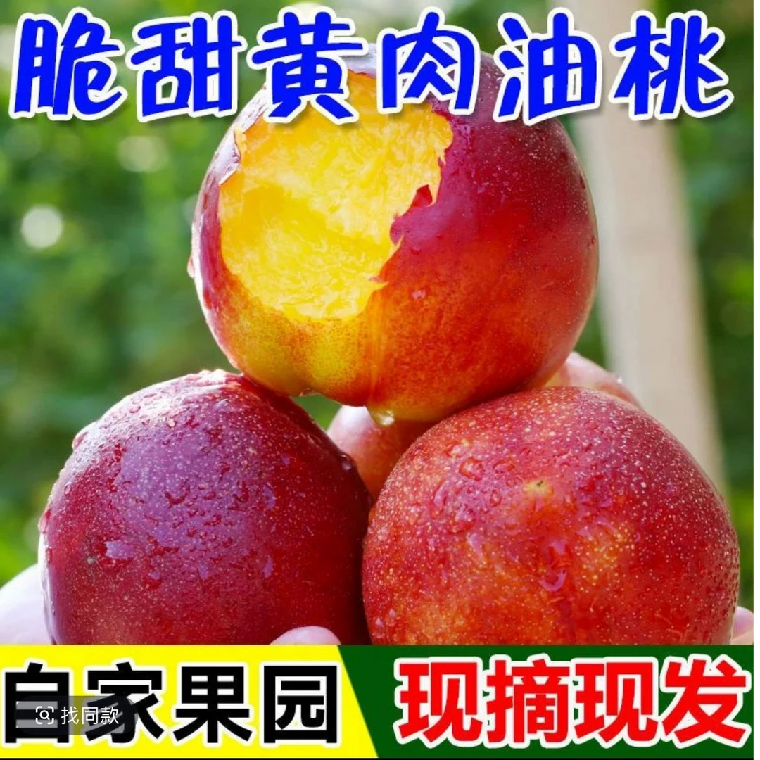 湖北黄肉油桃新鲜当季桃子果园现摘现发脆软两吃
