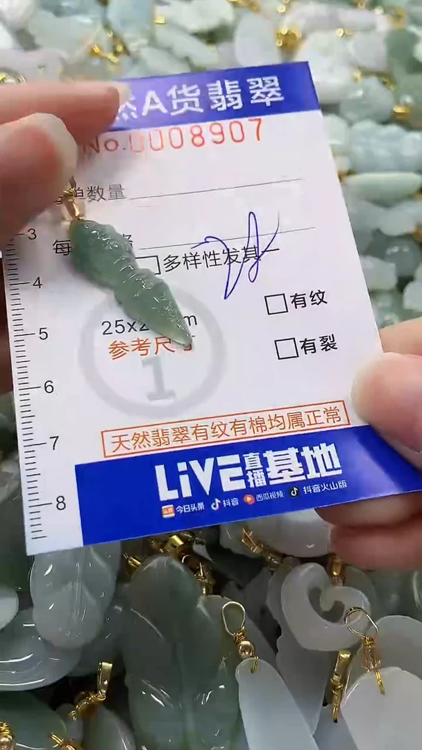 颈饰未镶嵌翡翠纯天然a货翡翠