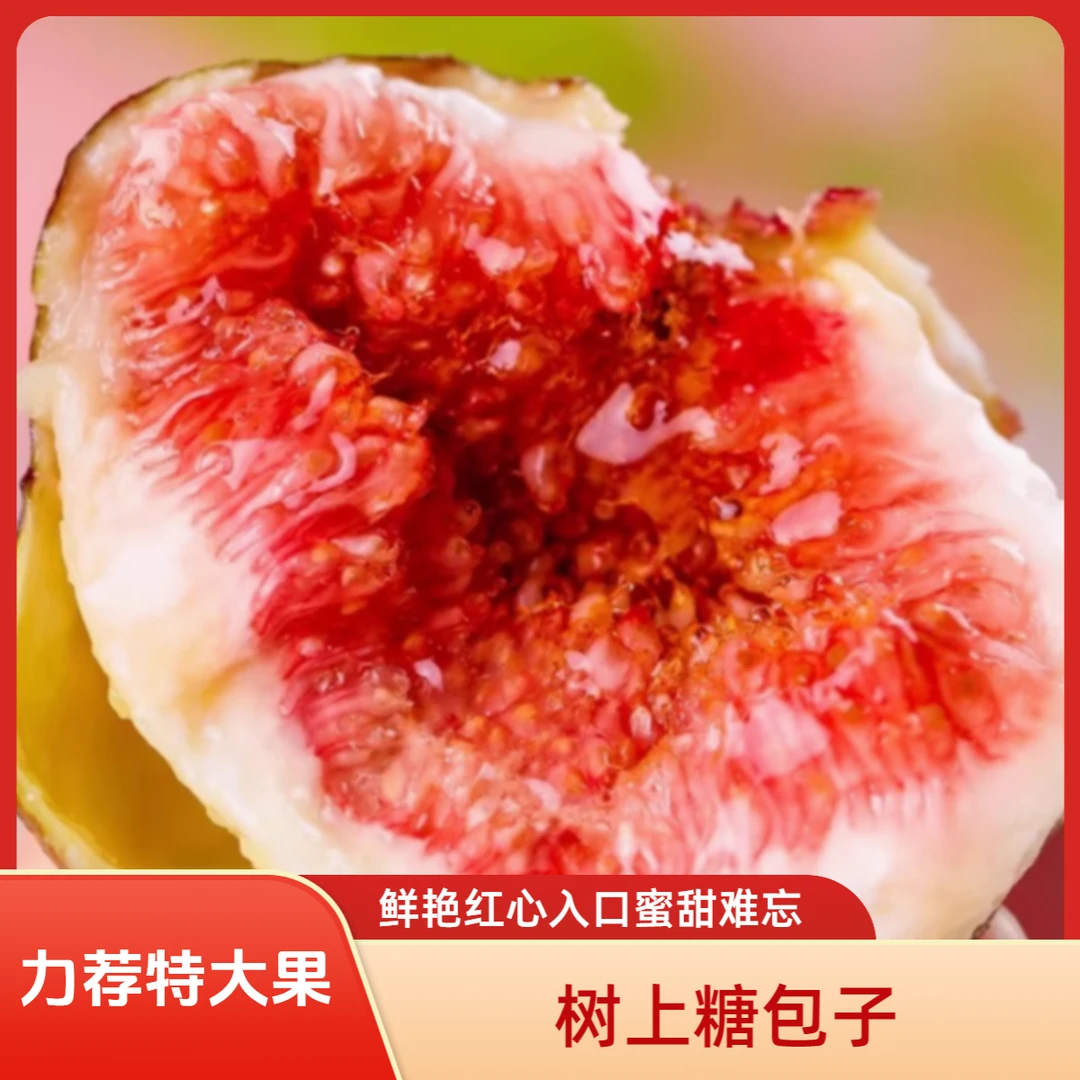 【顺丰包邮】红皮无花果成都波姬红新鲜采摘发货应季水果售后无忧