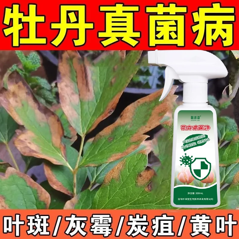 牡丹真菌病病菌净花卉绿植抑菌剂病毒病家用真菌细菌病毒菌剂锈病