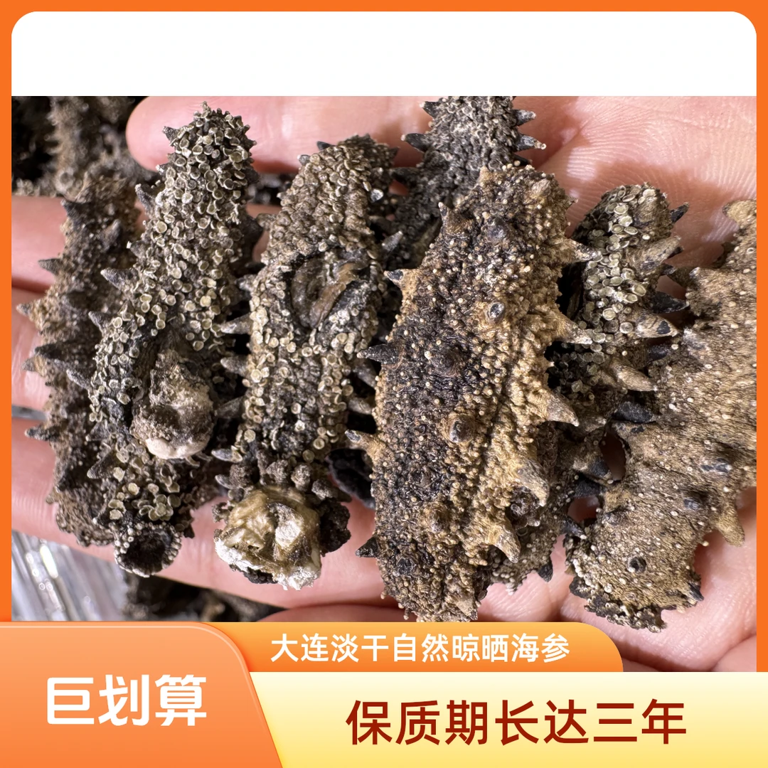 大连沙山小开口自然晾晒海参