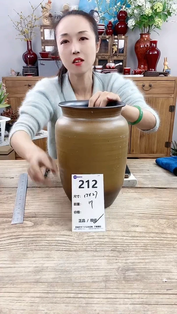 【闪购商品】红陶212