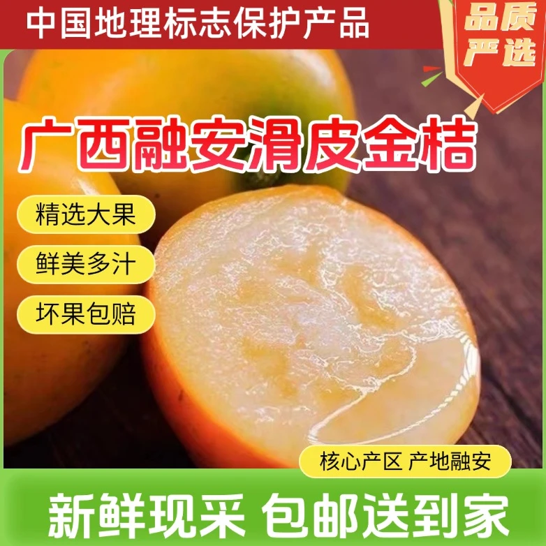 正宗融安滑皮金桔2斤试吃装