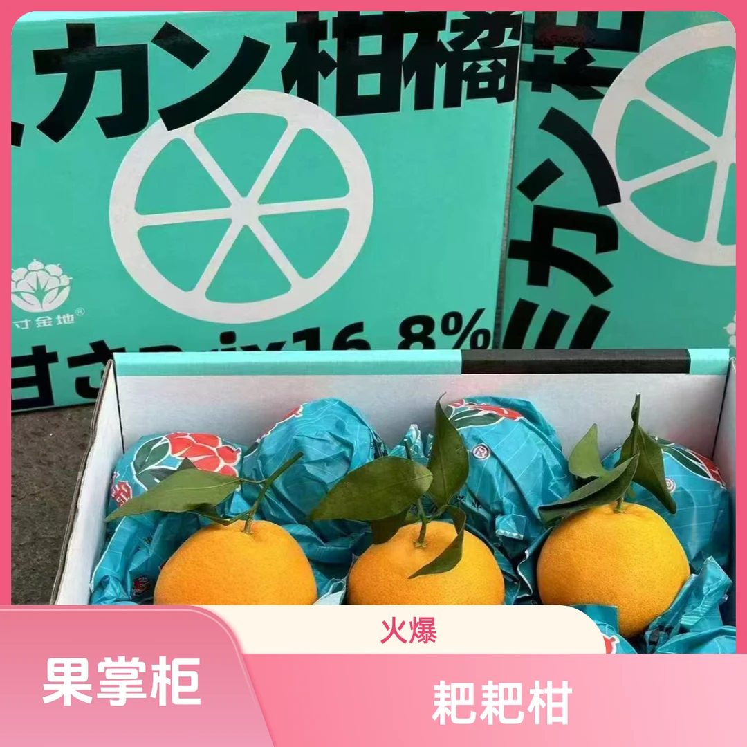 【寸金地耙耙柑】中果（箱/散装净重9-9.5斤）16-18颗装