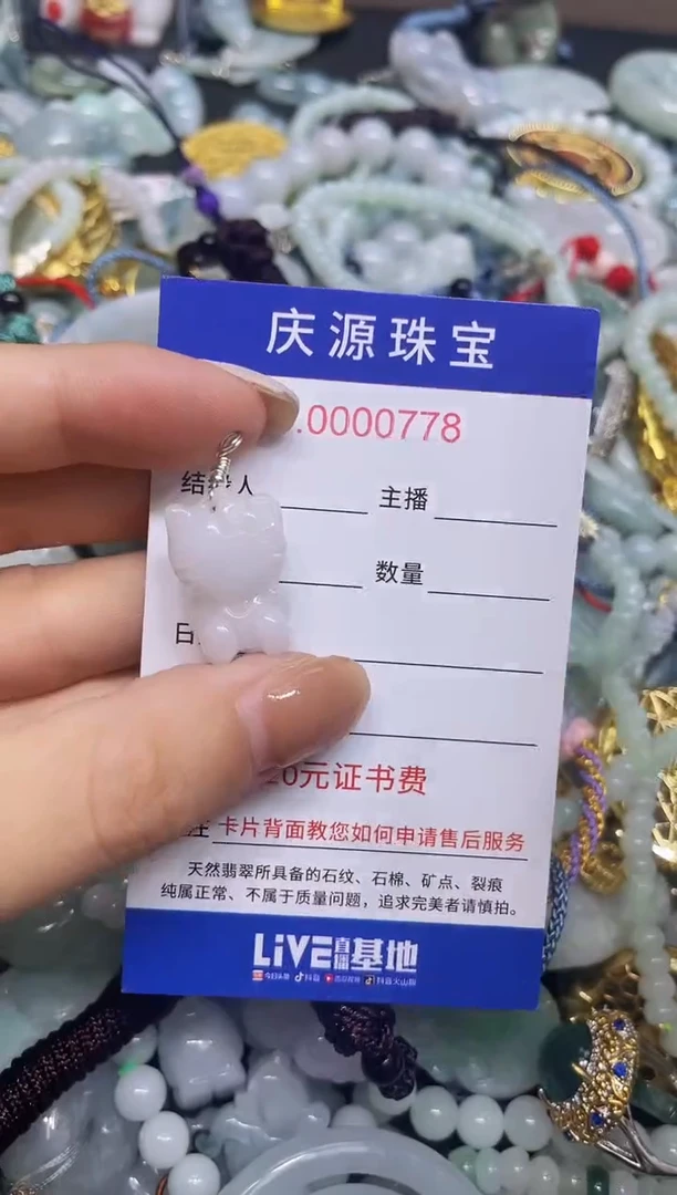 翡翠未镶嵌颈饰173