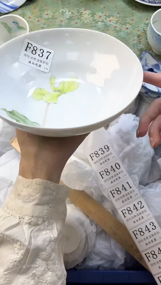 【闪购商品】瓷片          F837