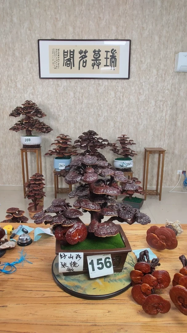 以实际为准好****敏156408