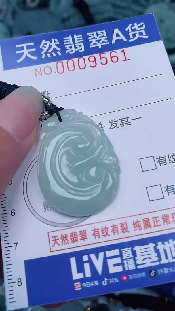 翡翠未镶嵌颈饰00009561