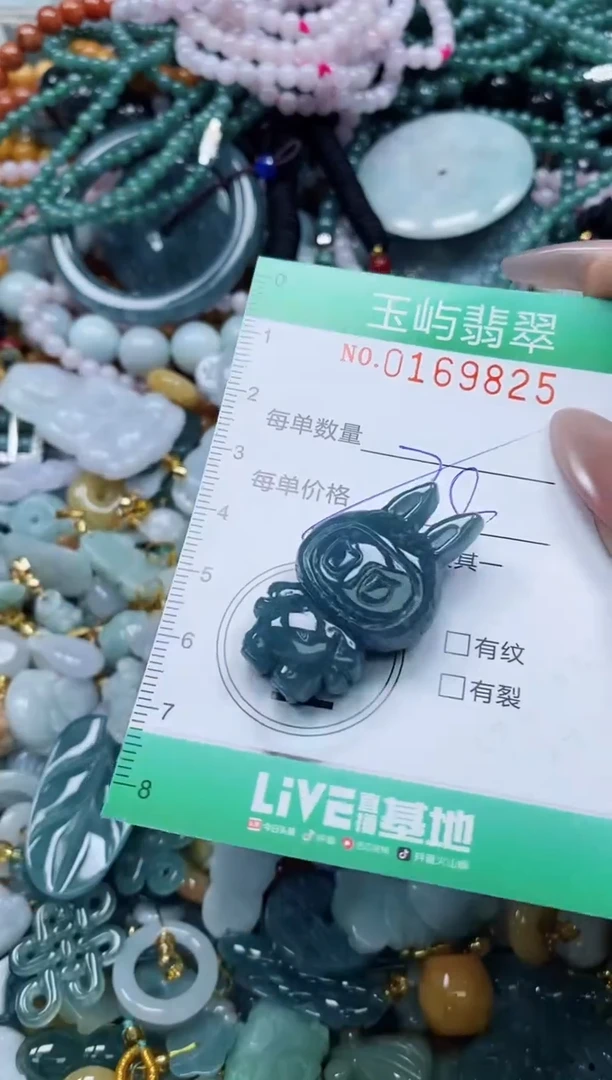 翡翠未镶嵌颈饰闪购0169825多样性发其一