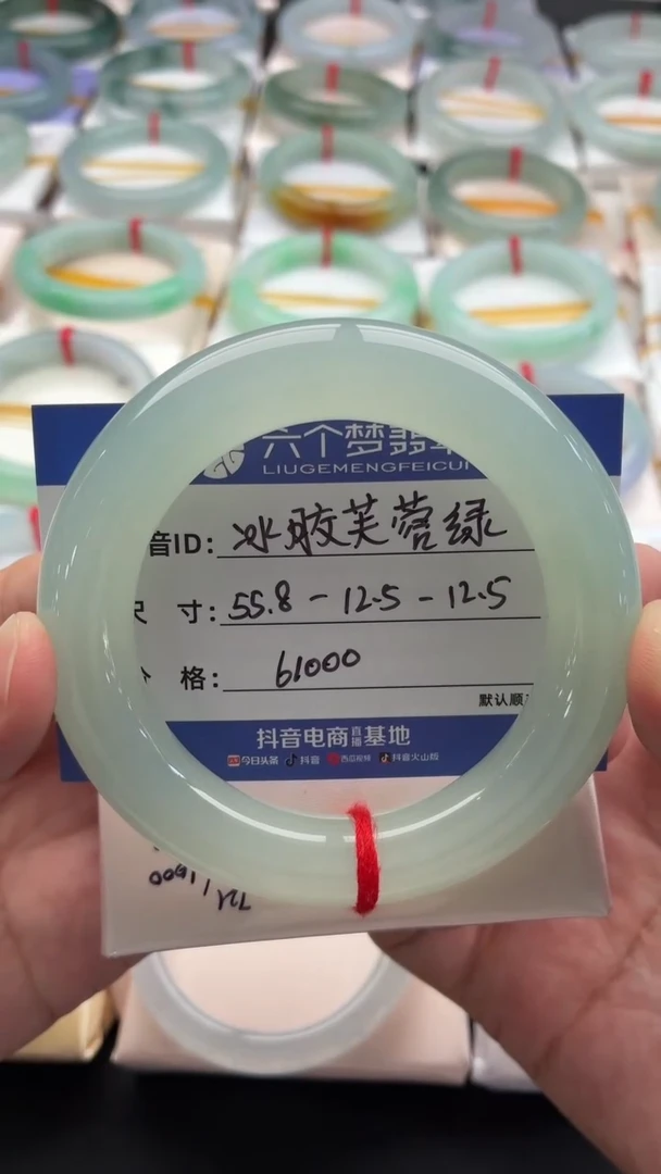 未镶嵌手镯翡翠冰胶芙蓉绿 48小时鉴赏期