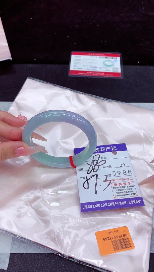 未镶嵌手镯翡翠1