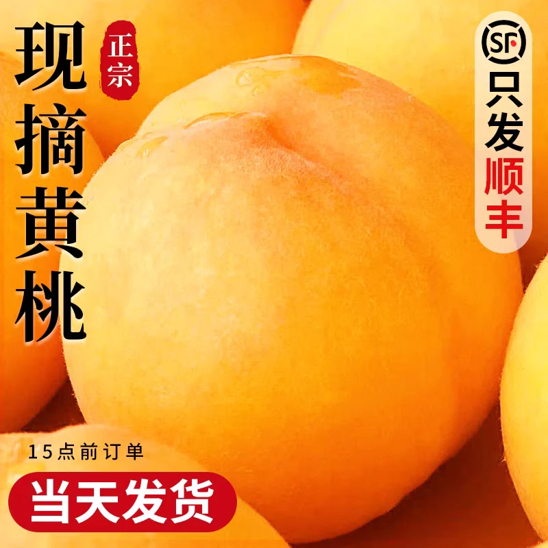 （顺丰包邮）新鲜现摘锦绣红心黄桃脆甜多汁当季应季水果非炎陵黄桃