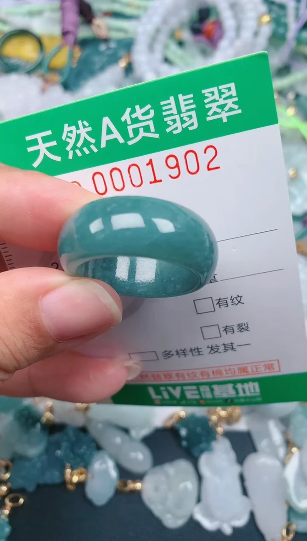 颈饰未镶嵌翡翠.0001902