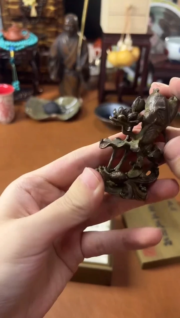 茶宠666666666666666666