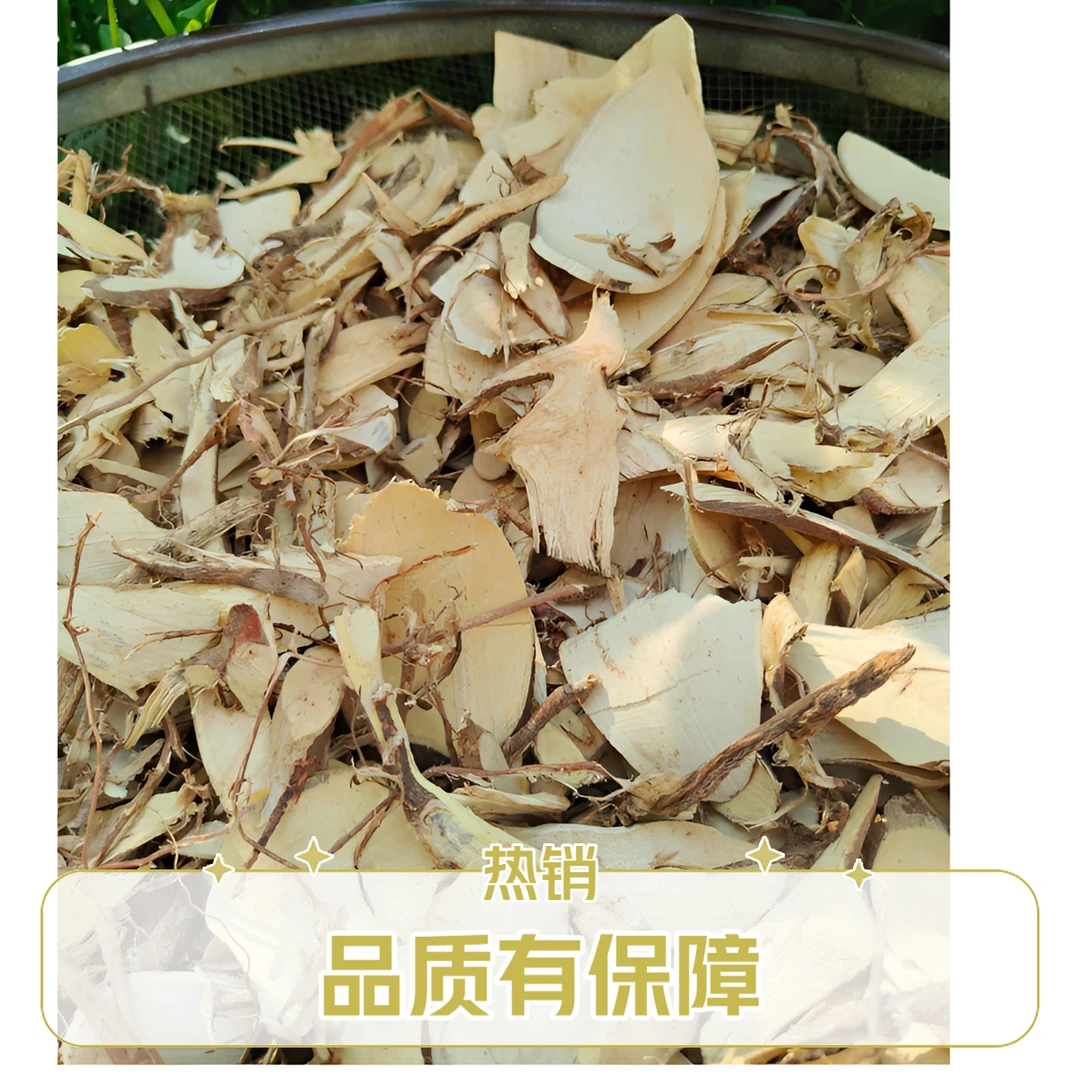 中药材白背根 野生白背叶根 广西白朴根 白面风根切片 白贝叶根