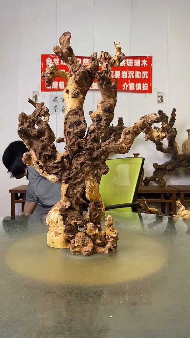 香榧木美**天金丝红木   羊蹄甲