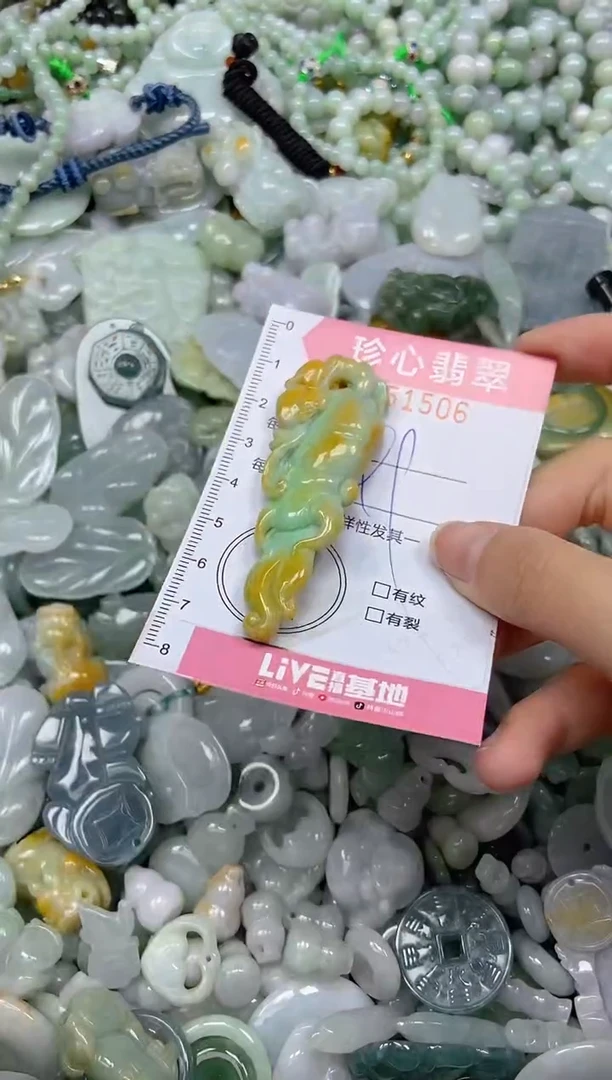 颈饰未镶嵌翡翠闪购0351506