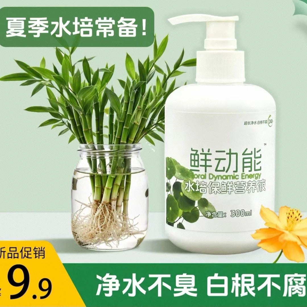 【净水根不腐】水培植物专用保鲜营养液富贵竹铜钱草碗莲睡莲除绿藻