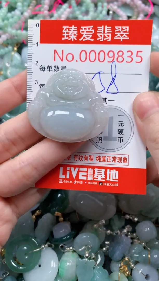 翡翠未镶嵌吊坠(不含链)9835