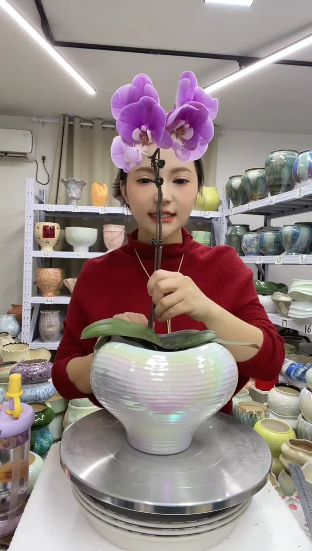 【1.4】花盆尺寸高：15 口：15