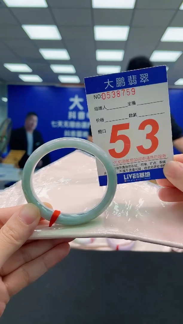 未镶嵌手镯翡翠AAAAAAAAA