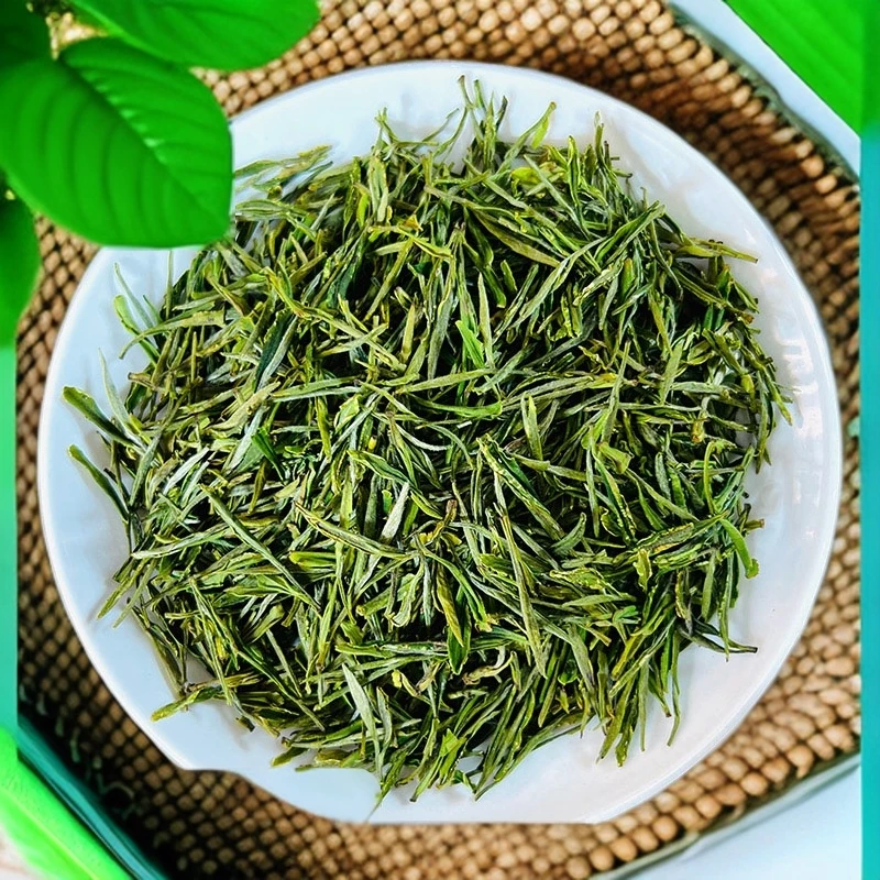 【金寨黄芽A31】明前黄芽毛峰2025新茶明前春季高山茶叶厂家直销