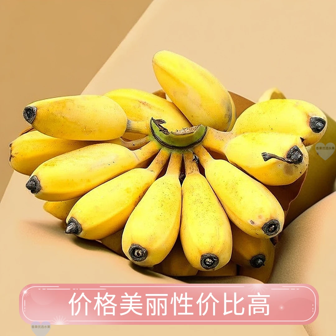广东地道苹果粉蕉当季鲜果新鲜直采绵软香蕉天然苹果蕉整箱批发