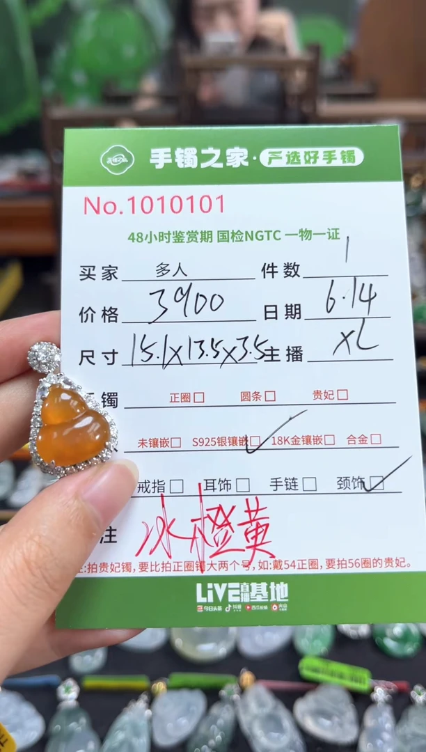 翡翠银S925镶嵌颈饰多人