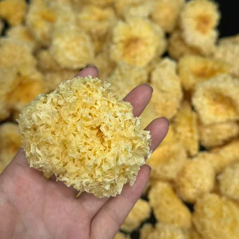 云南有机椴木银耳   无硫易泡发易煮易软糯易出胶100g银耳