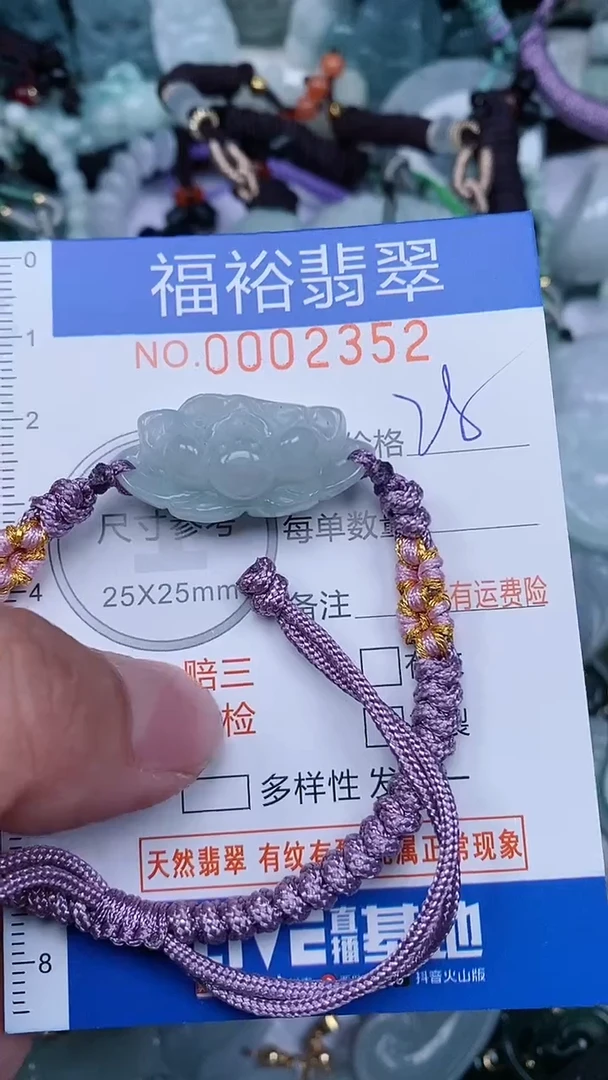 翡翠未镶嵌颈饰...0002352