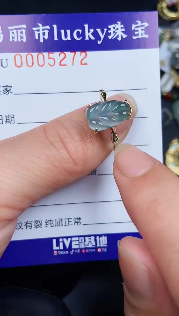 翡翠银S925镶嵌颈饰5272