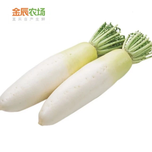 春季上新新鲜直釆富硒白萝卜