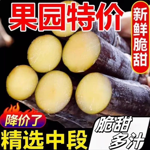 广西黑皮甘蔗新鲜现砍当季水果脆甜多汁可榨汁