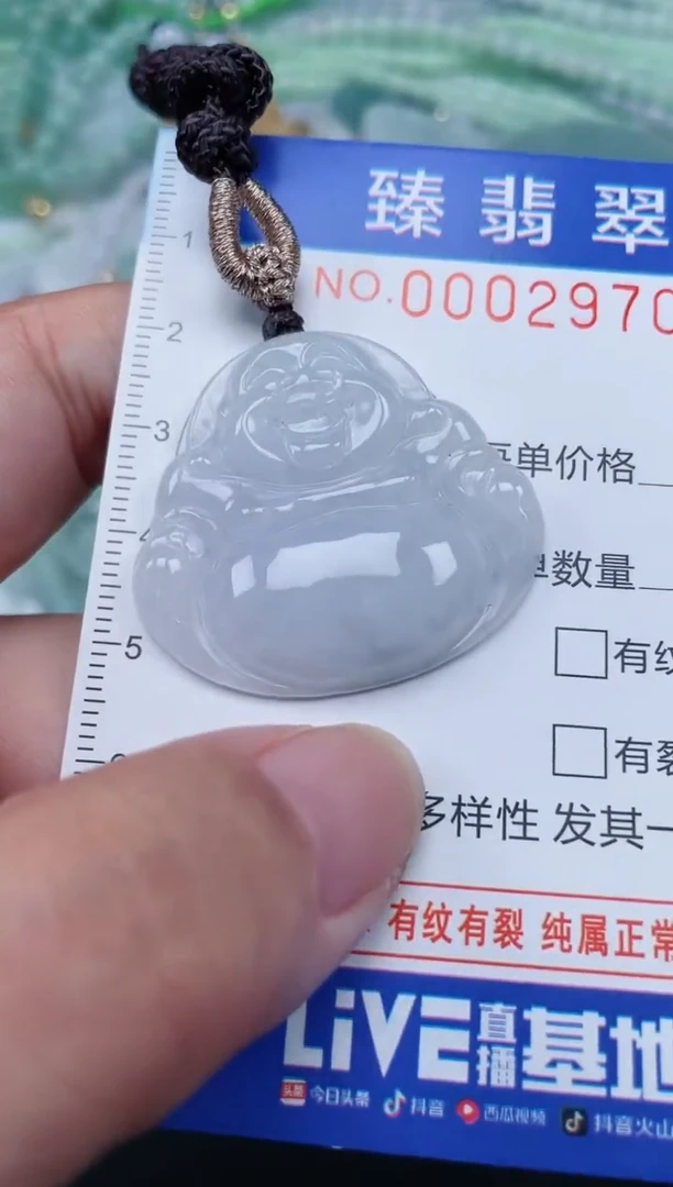 翡翠未镶嵌颈饰.0002970