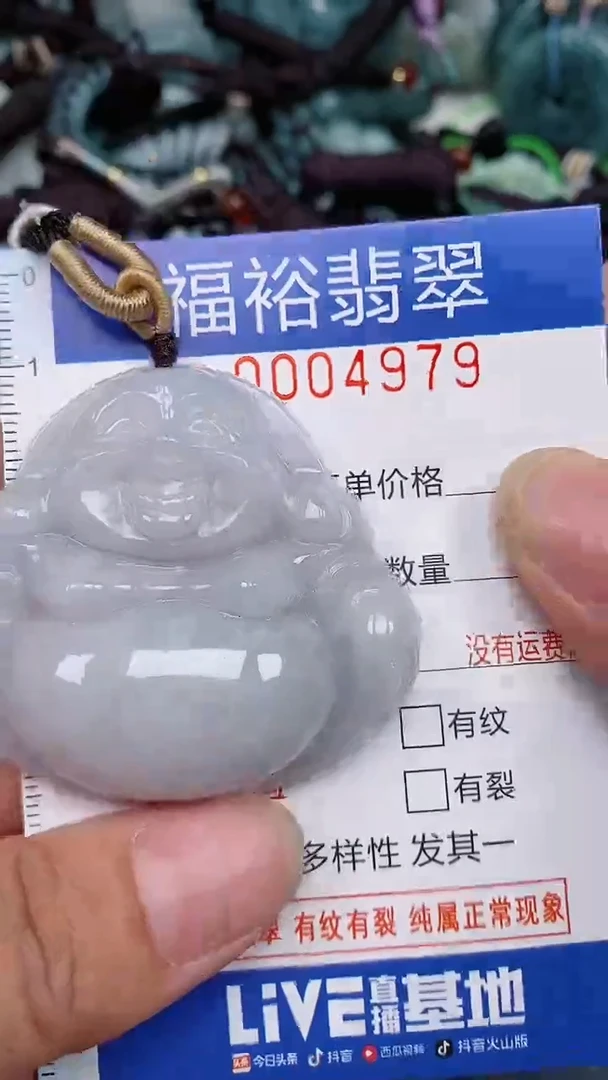 翡翠未镶嵌颈饰...0004979