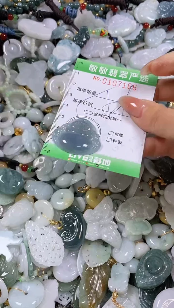 【闪购商品】翡翠颈饰未镶嵌闪购0107166