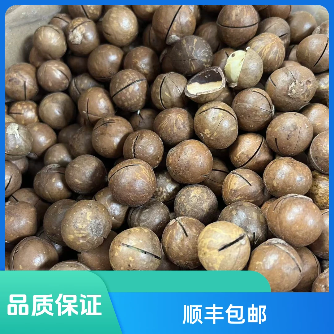 培辉堂夏威夷果 坚果 零食 500克