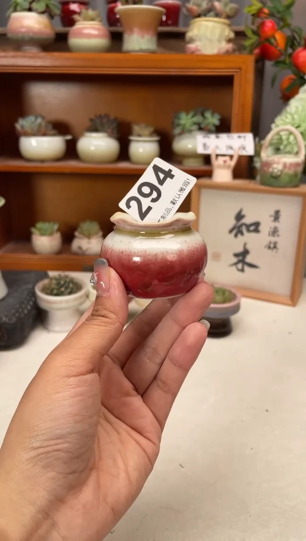 瓷片294知木小芳花盆编号