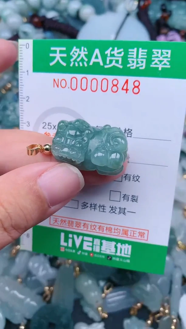 翡翠未镶嵌颈饰.0000848