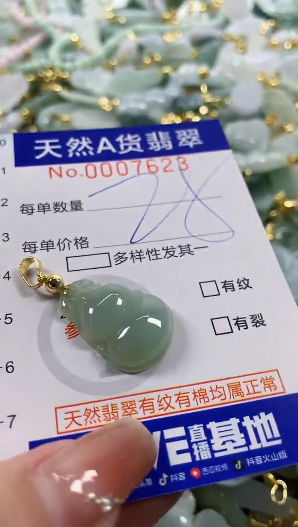 颈饰未镶嵌翡翠天然A货翡翠
