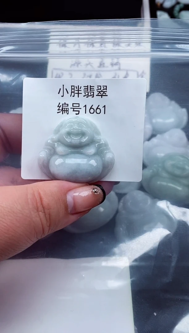 颈饰未镶嵌翡翠缅甸天然A货翡翠1661