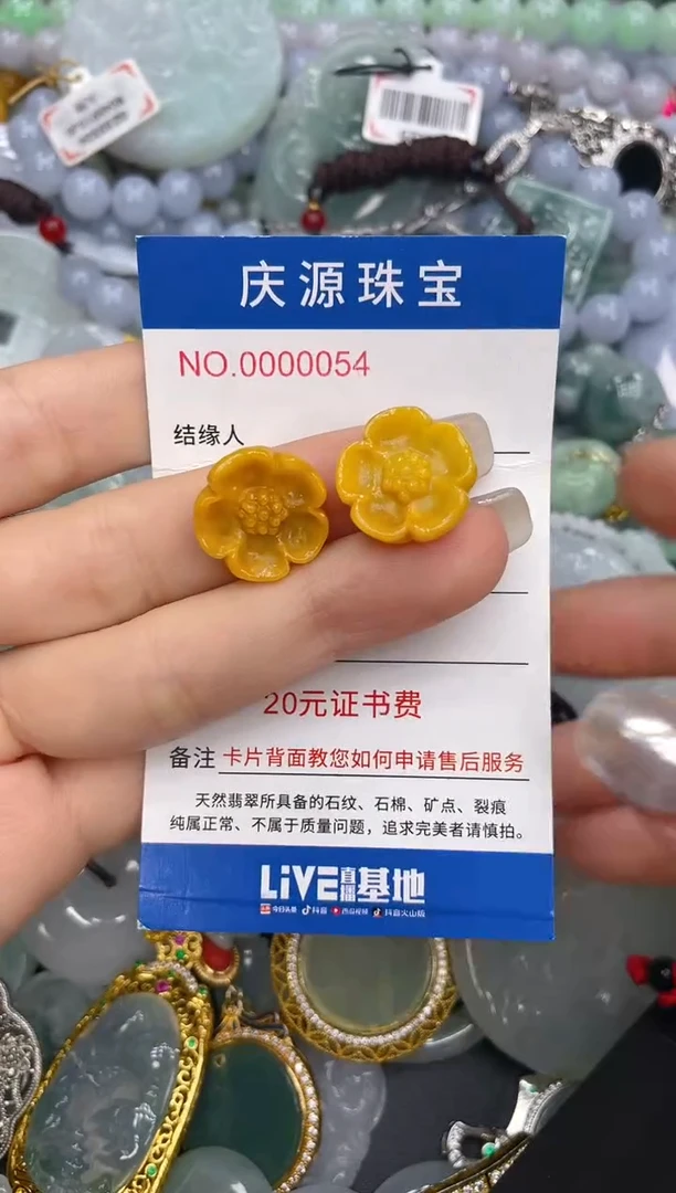 未镶嵌挂件翡翠010