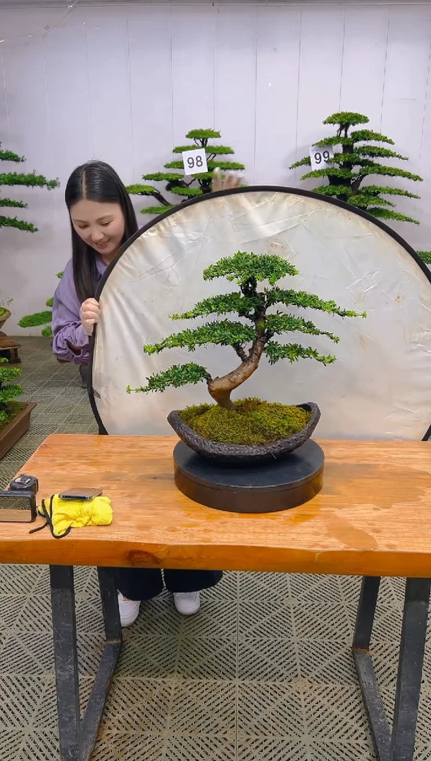 无花朵一物一拍一物一拍